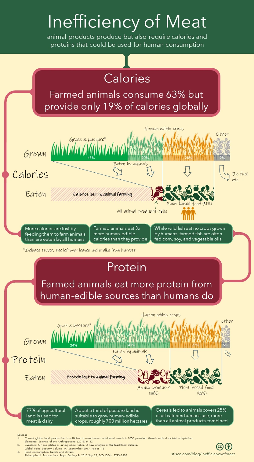 Inefficiency of meat infographic